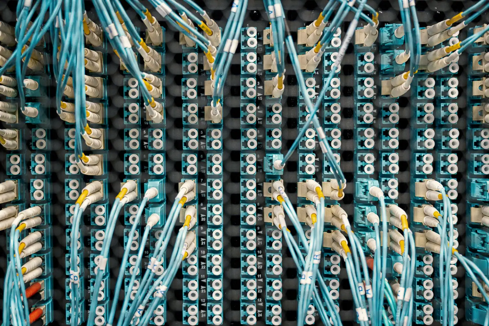 Fiber optic patch panel densely populated with teal cabling.
